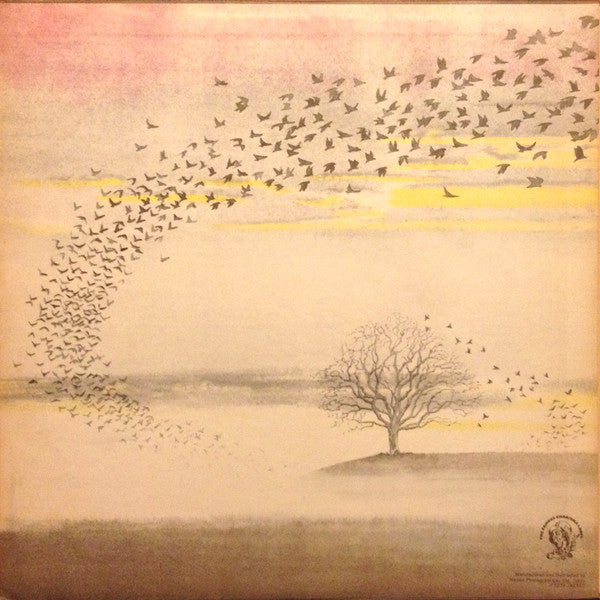 Genesis - Wind & Wuthering (LP, Album, RP)