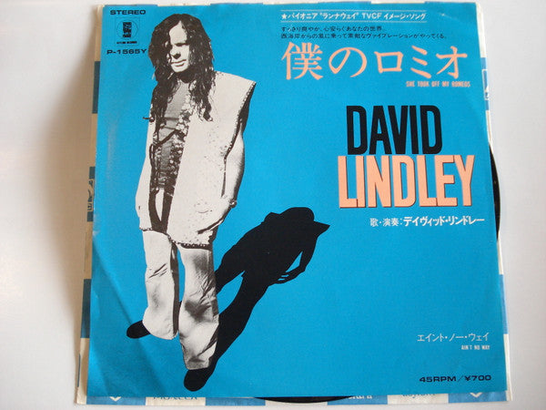 David Lindley - She Took Off My Romeos (7"", Single, Promo)