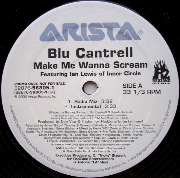 Blu Cantrell - Make Me Wanna Scream(12", Promo)