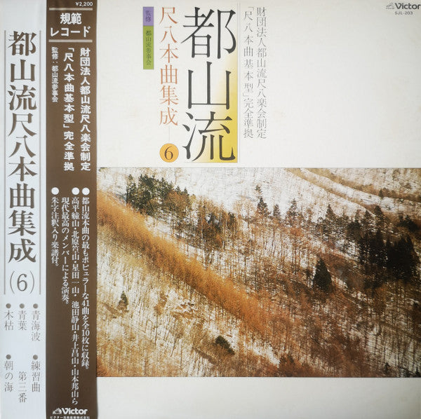 Various - 都山流 尺八本曲集成 ⑥ (LP, Album)