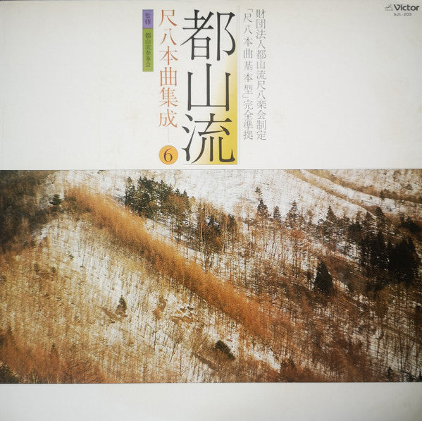 Various - 都山流 尺八本曲集成 ⑥ (LP, Album)